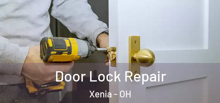 Door Lock Repair Xenia - OH
