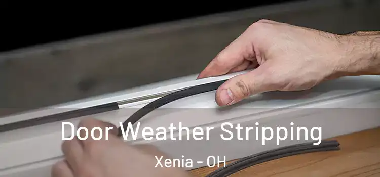 Door Weather Stripping Xenia - OH