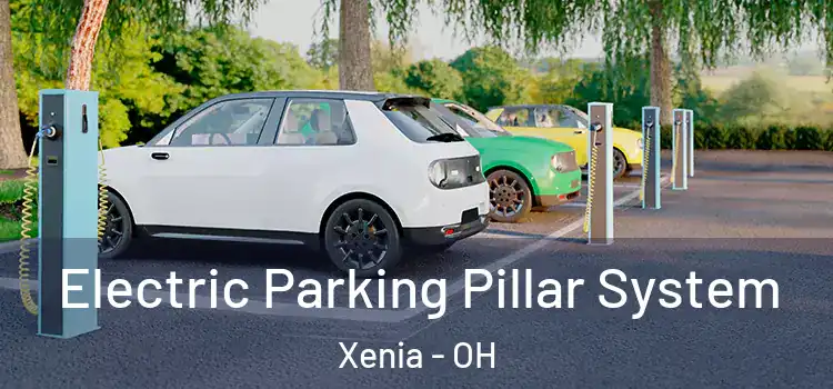  Electric Parking Pillar System Xenia - OH